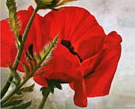 Red Flower